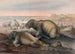 Le Morse - Joseph Wolf — visning af kunstværket