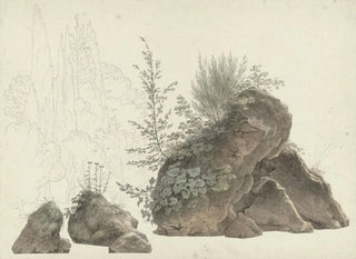 Josephus Augustus Knip - Overgrown Rocks.webp
