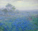 En skyet dag, blåbonner nær San Antonio, Texas - Julian Onderdonk — visning af kunstværket