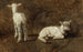 Studie af to lam - Juliette Peyrol-Bonheur — visning af kunstværket