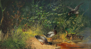 Julius Scheuerer - Enten am Teich.webp