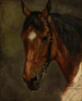 Tête de cheval - Juliusz Kossak — visning af kunstværket