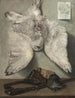 Harfang des neiges - Karel Purkyně — visning af kunstværket