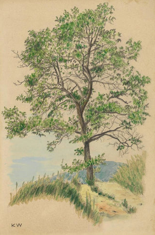 Karl Wiener - Ohne Titel Laubbaum und Weg.webp