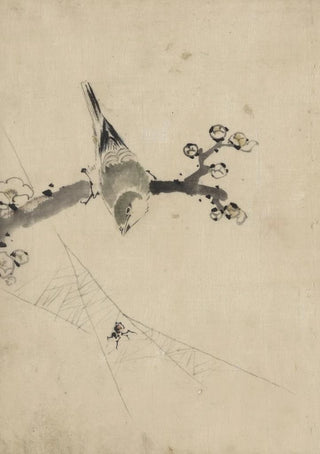 Katsushika Hokusai - A bird perched on a tree branch with blossoms watching a spider on a web.webp