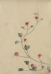 små røde blomster på en vinranke - Katsushika Hokusai — visning af kunstværket