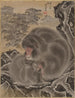 Singes - Kawanabe Kyōsai — visning af kunstværket