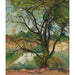 Reproduktion af maleriet L'Arbre - Suzanne Valadon