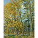 Reproduktion af maleriet La baigneuse - Childe Hassam