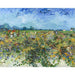 Reproduktion af maleriet Den grønne vinranke - Vincent Van Gogh