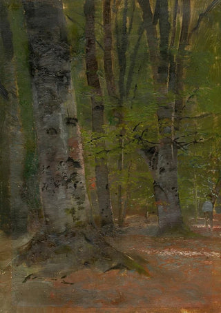 Ladislav Mednynszky - Study of Forest Interior.webp