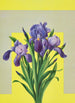 Iris - Lafayette F. Cargill — visning af kunstværket