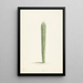Cactus - Laurens Vincentsz van der Vinne — indrammet kunstværk på væggen