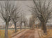 En vej nær Vindern, Zealand - Laurits Andersen Ring — visning af kunstværket