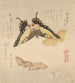 Le Manuel de peinture de Flock of Butterflies Guncho Gafu 3 - Kubo Shunman — visning af kunstværket
