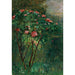 Reproduktion af maleriet Le Rosier Fleuri - Gustave Caillebotte