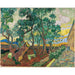 Reproduktion af maleriet af maleriet Le jardin de l'hôpital Saint-Paul - Vincent van Gogh