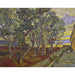 Reproduktion af maleriet Vincent van Gogh - Le jardin de l'hôpital Saint-Paul maleri