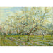 Reproduktion af maleriet Le verger blanc - Vincent van Gogh
