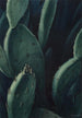 Émeraudes cactus - Leon Carroll — visning af kunstværket