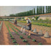 Reproduktion af maleriet Les Jardiniers - Gustave Caillebotte