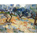 Reproduktion af maleriet Les Oliviers - Vincent Van Gogh