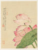 Blomster Pl. 04 - Liang Yuwei — visning af kunstværket