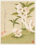 Fleurs Pl. 06 - Liang Yuwei — visning af kunstværket
