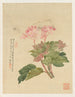 Blomster Pl09 - Liang Yuwei — visning af kunstværket