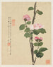 Blomster Pl11 - Liang Yuwei — visning af kunstværket