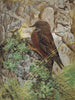 Alpehærfuglen - Léon-Paul Robert — visning af kunstværket