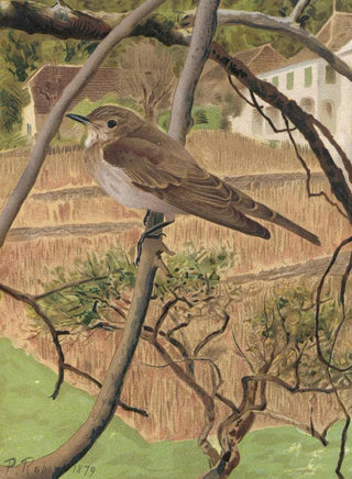 LoPaul Robert - GobeMouches Gris.webp
