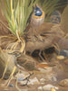 Gorge bleue - Léon-Paul Robert — visning af kunstværket