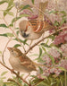 Moineau franc - Léon-Paul Robert — visning af kunstværket