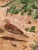 Pipit farlouse - Léon Paul Robert — visning af kunstværket