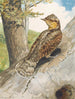 Torcol - Léon Paul Robert — visning af kunstværket