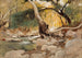 Mission Canyon Santa Barbara - Lockwood de Forest — visning af kunstværket