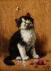 Chaton med sommerfugl - Léon Huber — visning af kunstværket