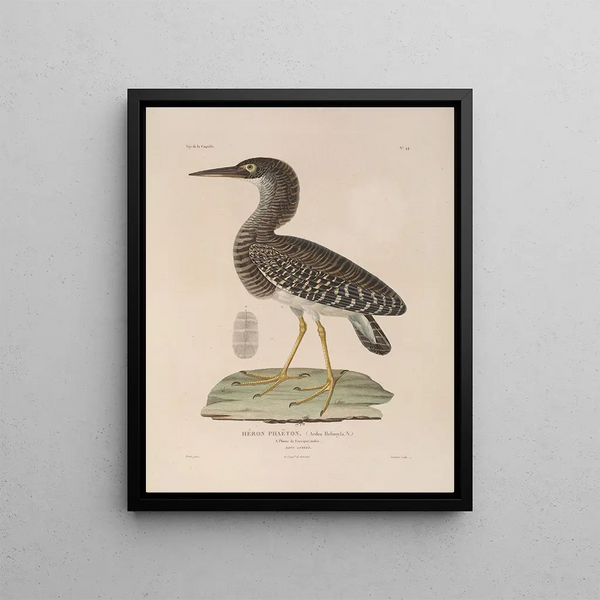 LouisIsidore Duperrey - Voyage autour du monde Pl150.webp
