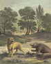 La Lionne Et L'ours The Lion And The Bear - Louis-Simon Lempereur — visning af kunstværket