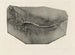 Louis Agassiz's maleri "Recherches sur les poissons fossiles Pl. 037" — visning af kunstværket