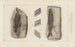 Recherches sur les poissons fossiles Pl137 - Louis Agassiz — visning af kunstværket