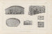 Recherches sur les poissons fossiles Pl261 - Louis Agassiz — visning af kunstværket