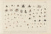 Recherches sur les poissons fossiles Pl308 - Louis Agassiz — visning af kunstværket
