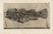 Recherches sur les poissons fossiles Pl347 - Louis Agassiz — visning af kunstværket
