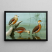 Dendrocygne siffleur, dendrocygne d'Amérique, dendrocygne fauve - Louis Agassiz Fuertes — indrammet kunstværk på væggen
