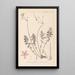Herbier de la flore française Pl0095 - Louis Antoine Cusin — indrammet kunstværk på væggen