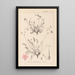 Herbier de la flore française Pl0097 - Louis Antoine Cusin — indrammet kunstværk på væggen