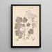 Herbier de la flore française Pl0120 - Louis Antoine Cusin — indrammet kunstværk på væggen