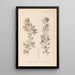 Herbier af den franske flora Pl0155 - Louis Antoine Cusin — indrammet kunstværk på væggen